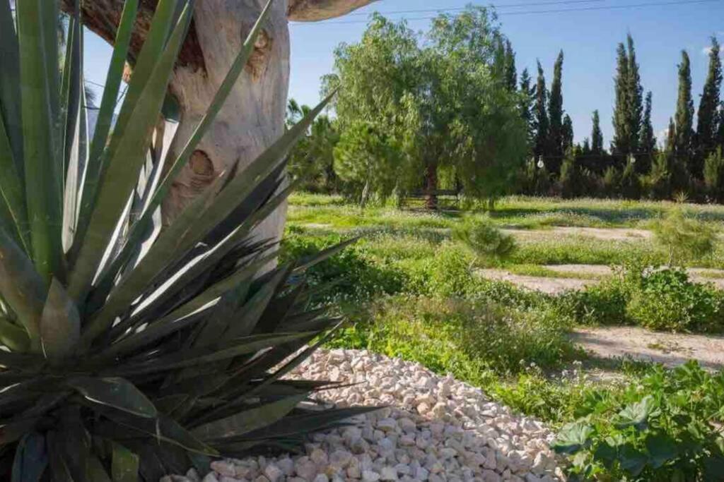 Villa Fina Murcia Eksteriør bilde